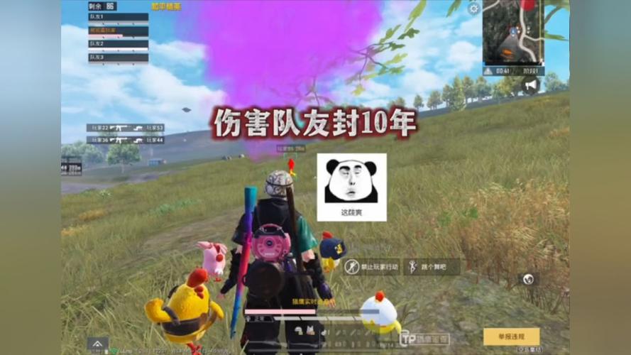 和平精英游戏运营商对待和平精英辅助的反作弊